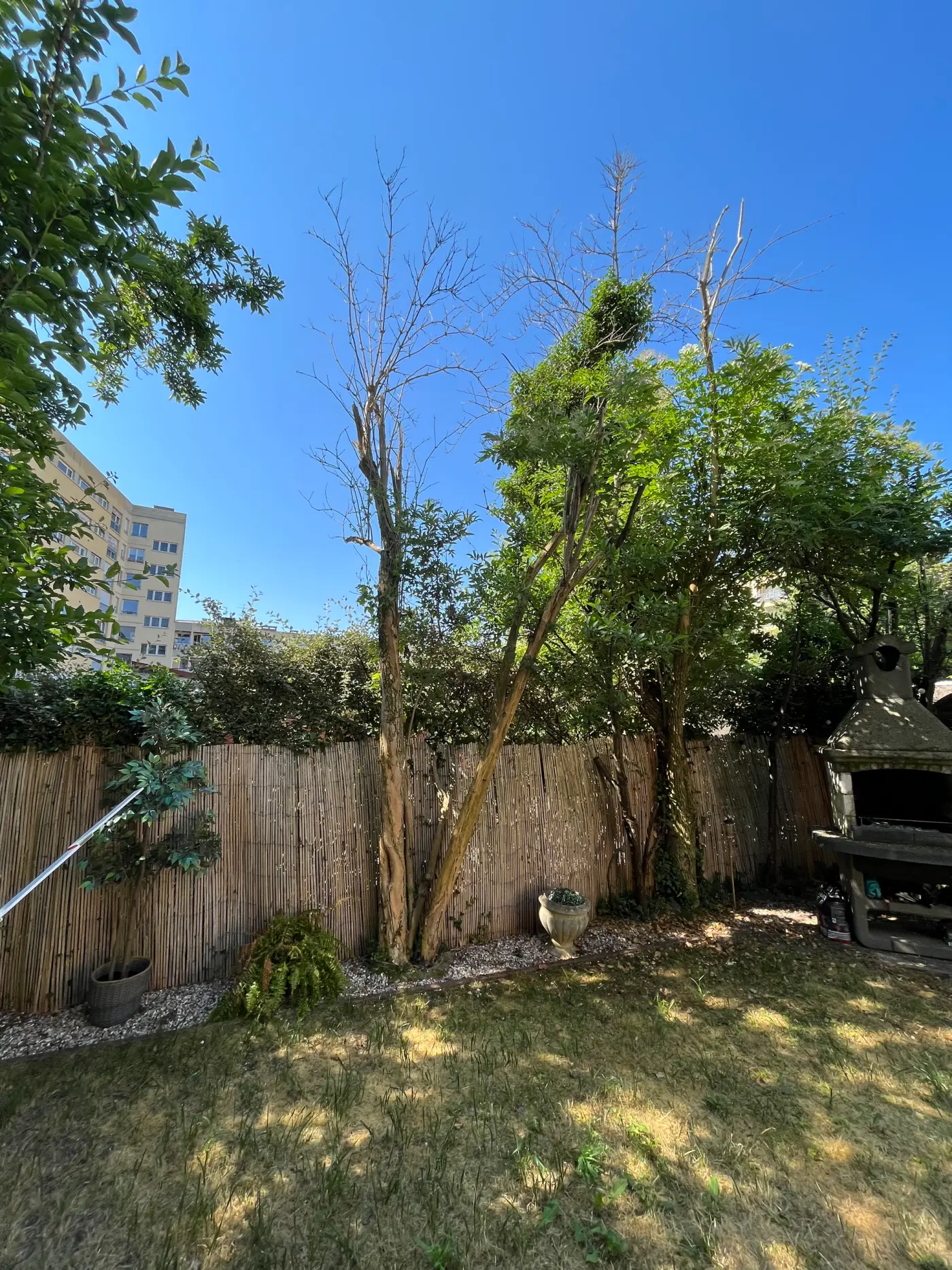 Projet de conception d’un jardin à Metz (57) — visuel 2