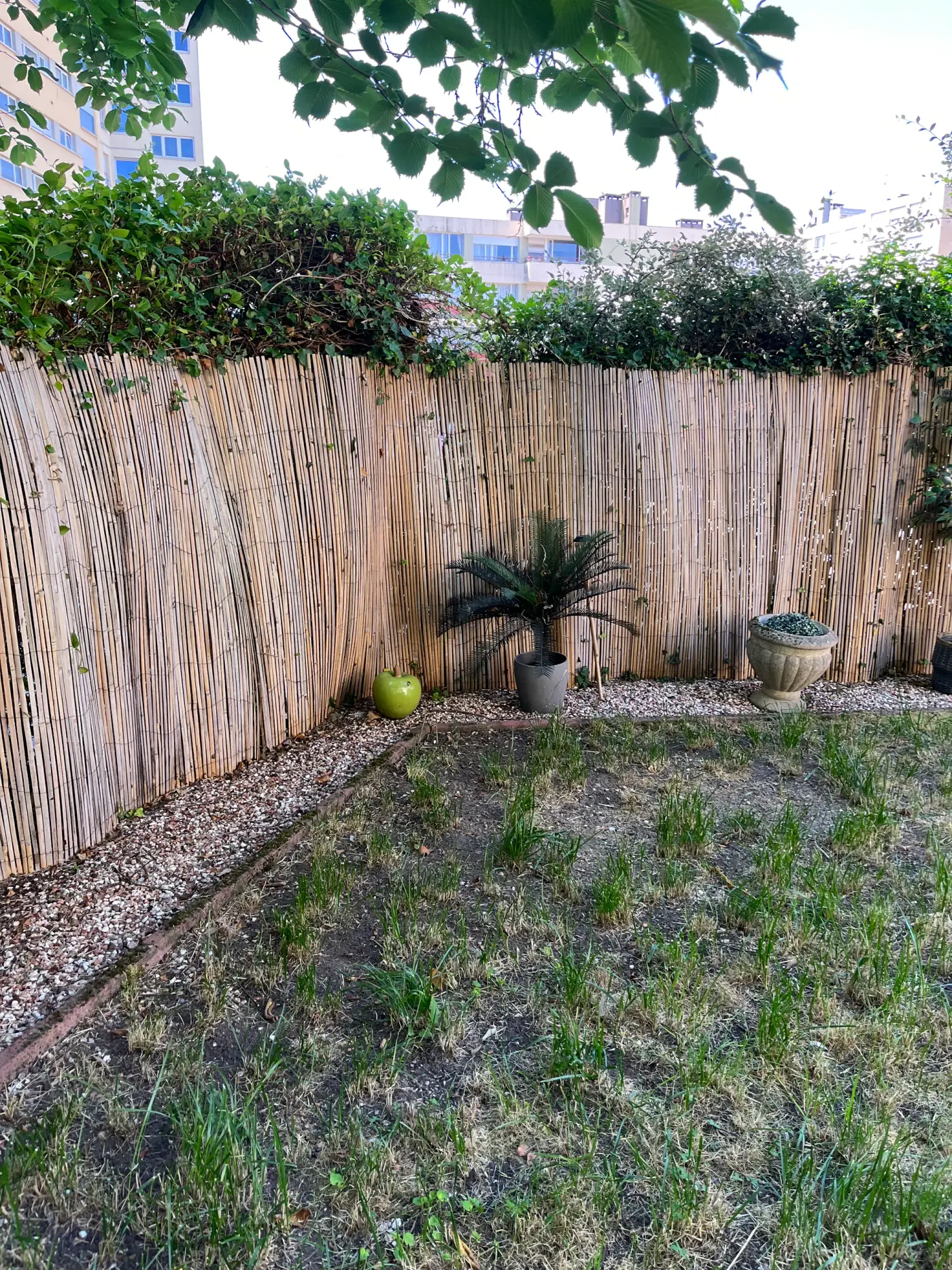 Projet de conception d’un jardin à Metz (57) — visuel 4