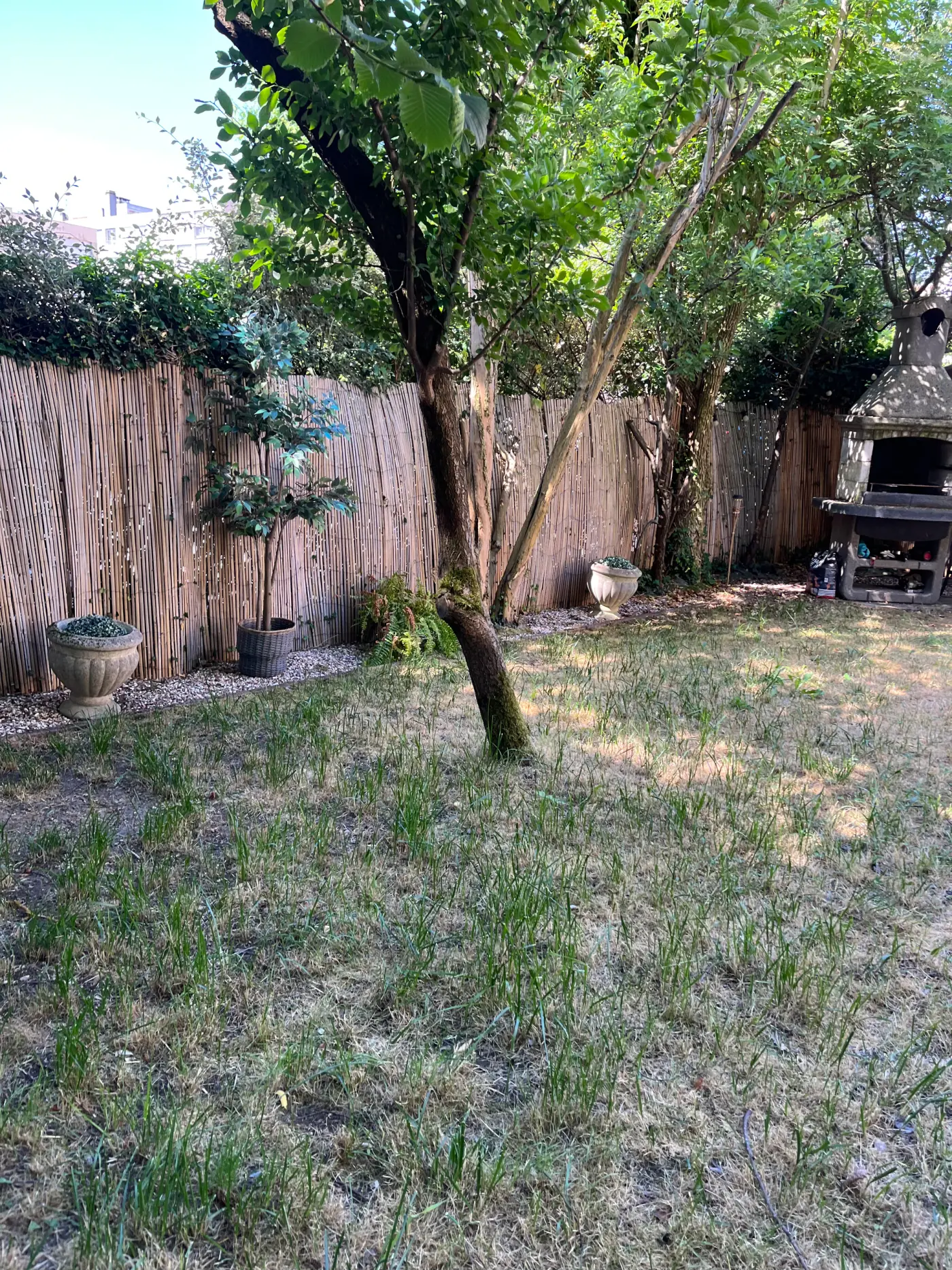 Projet de conception d’un jardin à Metz (57) — visuel 3