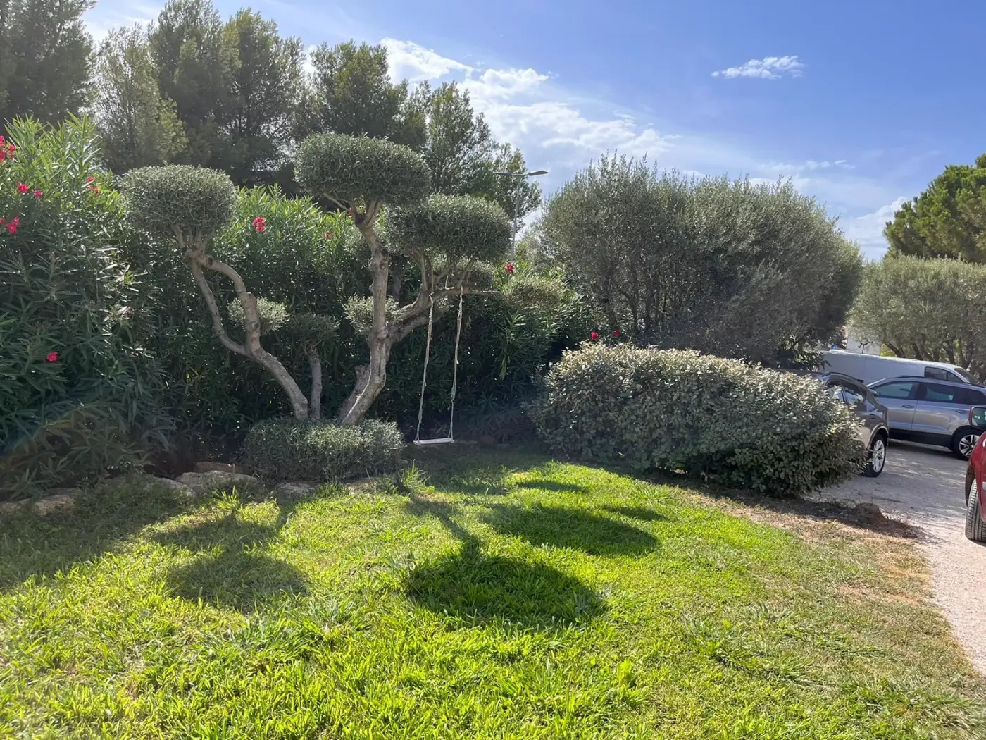 Projet de conception d’un jardin avec piscine et d’une terrasse à Martigues (13) — visuel 6