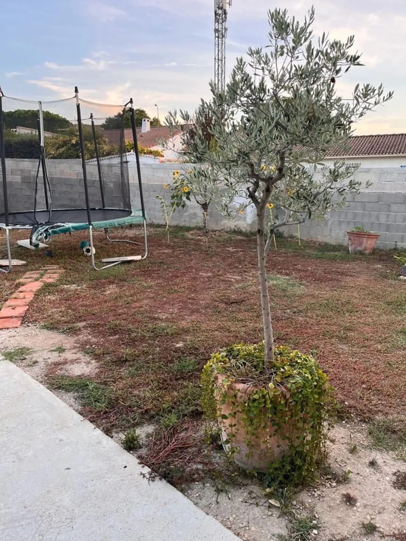 Projet de conception et de décoration d’un jardin avec piscine à Rognac (13) — visuel 4