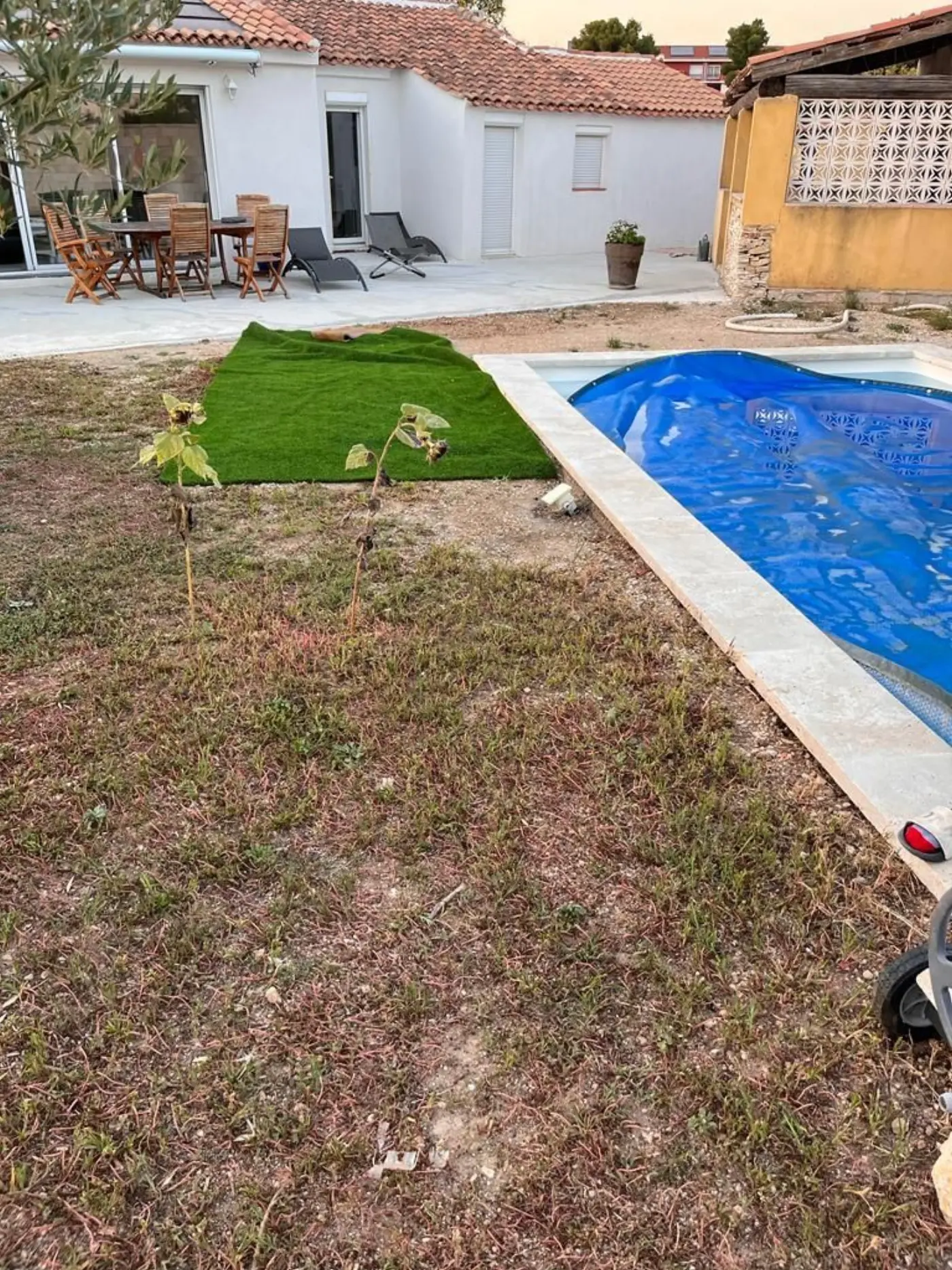 Projet de conception et de décoration d’un jardin avec piscine à Rognac (13) — visuel 2
